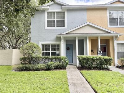 3506 High Hampton Circle, Tampa, Florida 33610