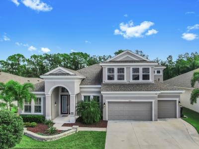 7709 Paradiso Dr, Apollo Beach, Floride 33572, États-Unis