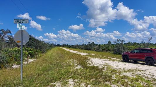 2217 Favre Rd, Avon Park, Florida 33825, Stati Uniti