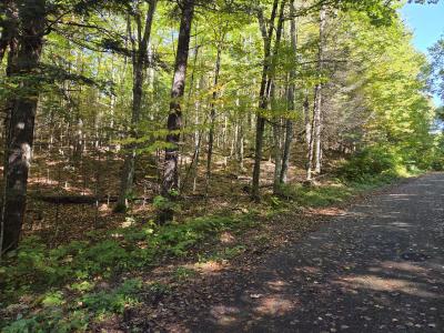 1.65 AC on Moonshine Valley Rd., Presque Isle, Висконсин 54557, Соединенные Штаты