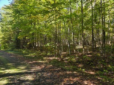 1.65 AC on Moonshine Valley Rd., Presque Isle, Wisconsin 54557, HOA KỲ