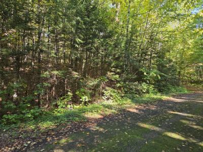 2AC on Moonshine Valley Rd., Presque Isle, Висконсин 54557, Соединенные Штаты