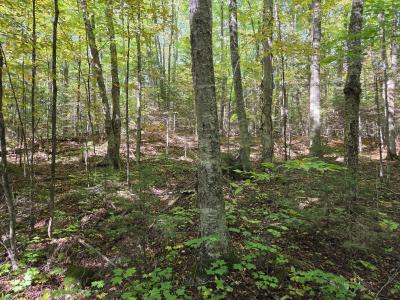 2AC on Moonshine Valley Rd., Presque Isle, Wisconsin 54557, Estados Unidos