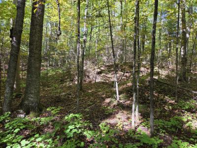 2AC on Moonshine Valley Rd., Presque Isle, Wisconsin 54557, Estados Unidos