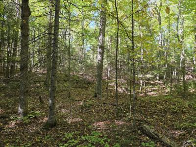 2AC on Moonshine Valley Rd., Presque Isle, Wisconsin 54557, Estados Unidos