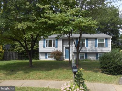 3281 Bethel Church Drive, Woodbridge, 弗吉尼亚州 22192, 美国