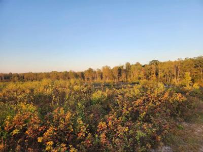 40 Acres (1st) Monroe (easement), Harrison, Michigan 48625, USA