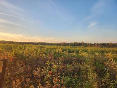 40 Acres (1st) Monroe (easement), Harrison, Michigan 48625, USA