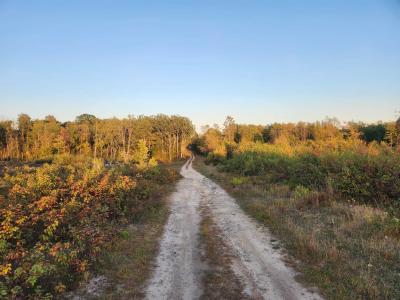 40 Acres (1st) Monroe (easement), Harrison, Michigan 48625, USA