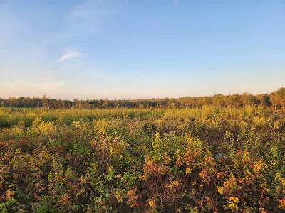 40 Acres (1st) Monroe (easement), Harrison, Michigan 48625, USA