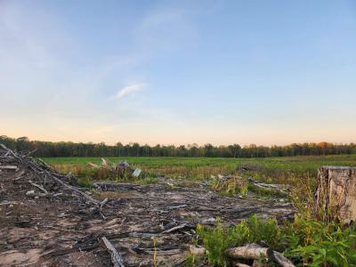 40 Acres (2nd) Monroe (easement), Harrison, Michigan 48625, USA