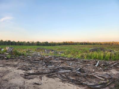 40 Acres (2nd) Monroe (easement), Harrison, Michigan 48625, USA