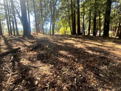 25201 Sherwood Road, Willits, Californie 95490, États-Unis