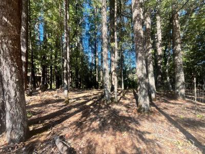 25201 Sherwood Road, Willits, Californie 95490, États-Unis