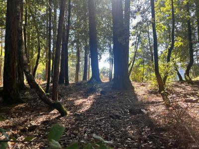 25201 Sherwood Road, Willits, Californie 95490, États-Unis