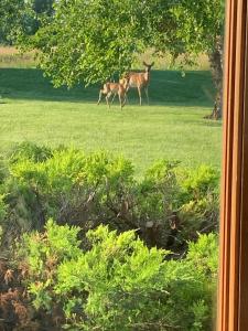 W3552 Equestrian Trail, Appleton, Wisconsin 54913-9109