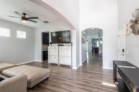 8037 Arbor Park Lane, Riverview, Florida 33578