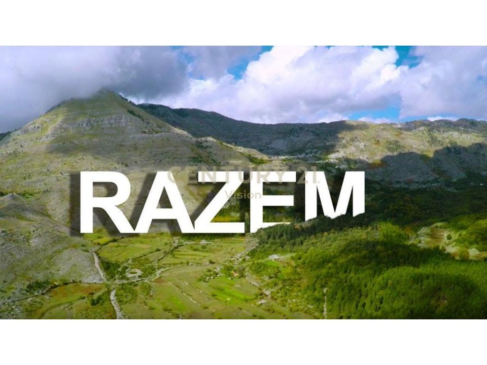 Periferia Shkodër, Shkodër, Албания