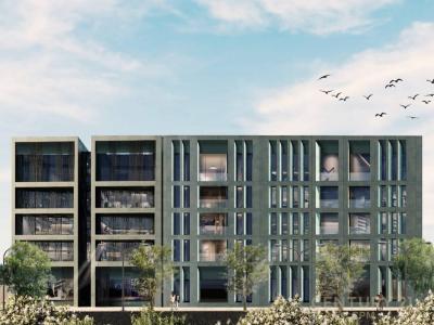 Sauk i Vjetër, Tirana, Albanie