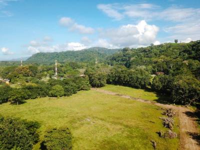 Dominical Bahía Ballena Osa, 푼타레나스 00001, 코스타 리카