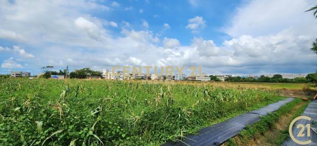 和興段, Hukou Township, Hsinchu County 303, Taiwan
