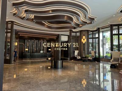 致善路一段, 大園區, Taoyuan 337, Taiwán