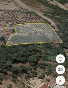 Chamusca, Santarem 2140-301, Portugal