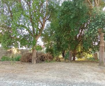 Batalha, Leiria 2440-050, Portugal