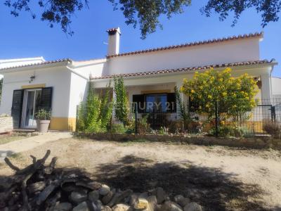 Coruche, 聖塔倫 2100-541, 葡萄牙