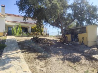 Coruche, 聖塔倫 2100-541, 葡萄牙