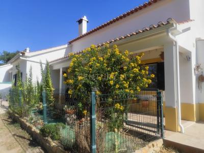 Coruche, 聖塔倫 2100-541, 葡萄牙