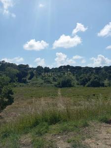 Sesimbra, Setúbal 2970-071, Portugal