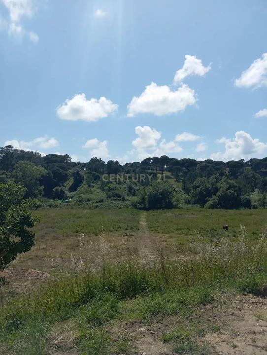 Sesimbra, Setubal 2970-071, Portugal