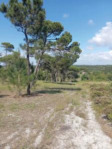 Sesimbra, Setubal 2970-071, Portugal