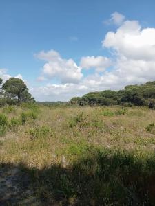 Sesimbra, Setubal 2970-071, Portugal