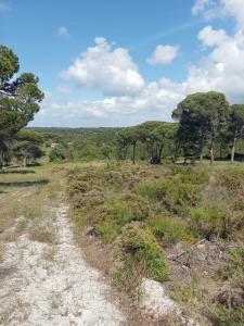 Sesimbra, Setubal 2970-071, Portugal