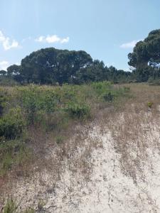 Sesimbra, Setubal 2970-071, Portugal