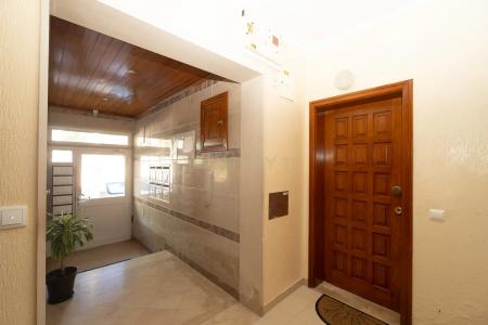 Palmela, Setúbal 2955, Portugal