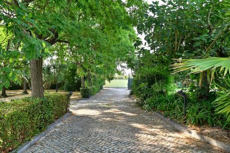 Palmela, Setubal 2965-515, Portugal