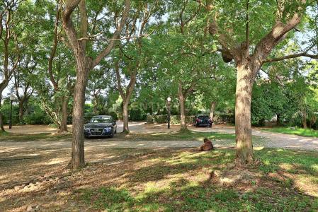 Palmela, Setubal 2965-515, Portugal