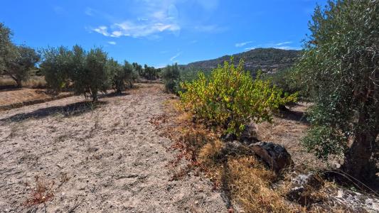 Fornos De Algodres, 瓜達區 6370-382, 葡萄牙