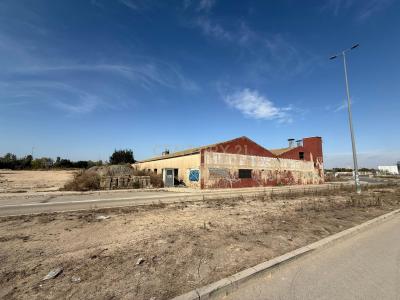 València/Valencia, Comunitat Valenciana 46430, Spain