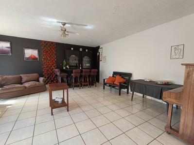 Johannesburg, 豪登省, 南非