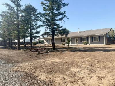 15434 Ave 330, Ivanhoe, California 93235, USA