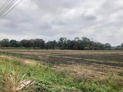 Mariscal Sucre s/n, Milagro, Guayas 00001, אקוודור