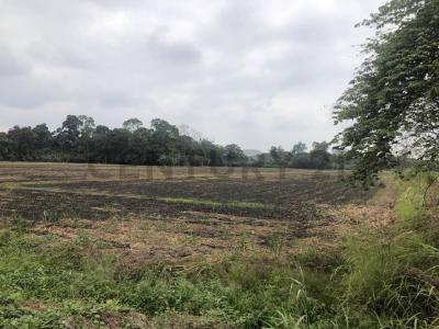 Mariscal Sucre s/n, Milagro, Guayas 00001, אקוודור