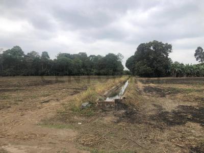 Mariscal Sucre s/n, Milagro, Guayas 00001, אקוודור