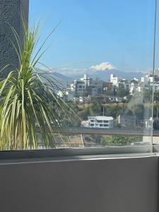 Miravalle 4 s/n, Quito, Pichincha 00001, Ecuador