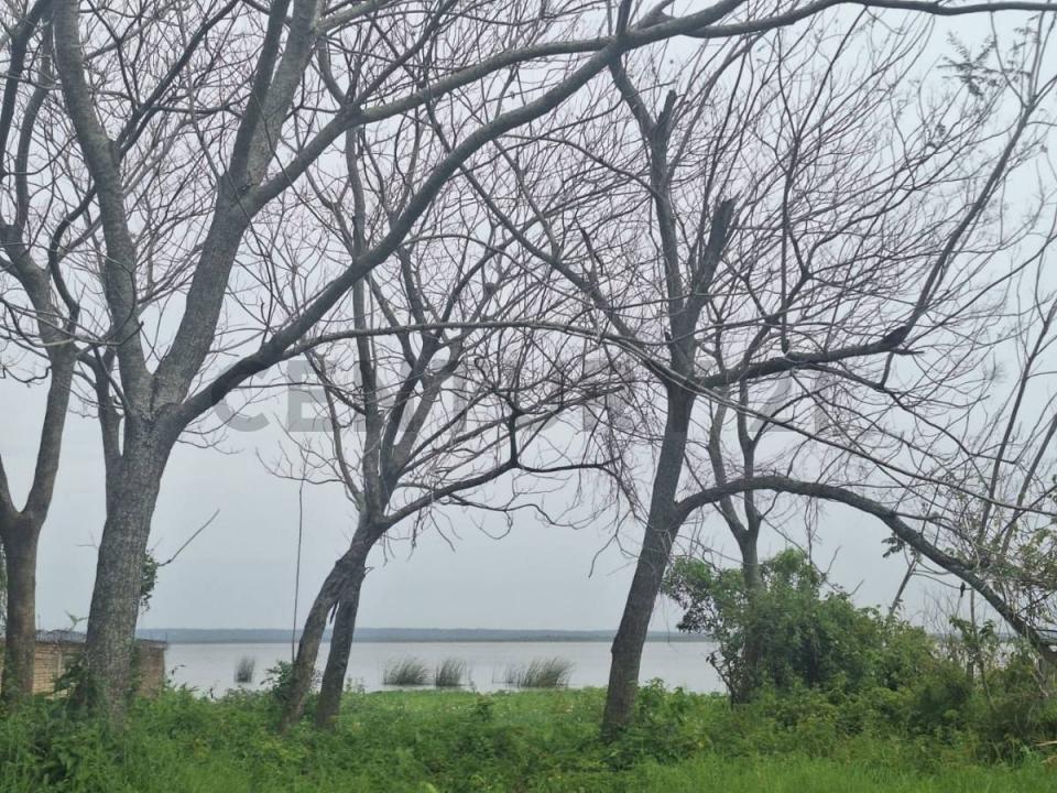 Ruta San Bernardino Luque calle es vedra , San Bernardino, Cordillera 00001, Le Paraguay