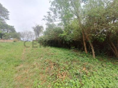 Ruta San Bernardino Luque calle es vedra , San Bernardino, Cordillera 00001, Le Paraguay